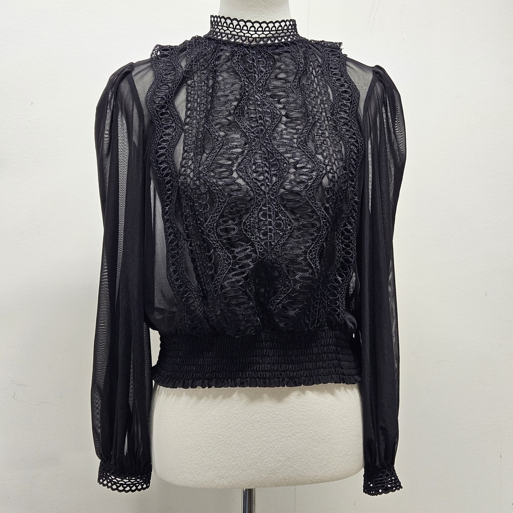 Black Lace Crochet Sheer Sleeve Blouse Smocked Waist High Neck Crop Witchy Fairy
